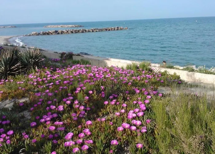 Barcaresa-charmant T 2 Vue Pied Dans L'eau Le Barcarès