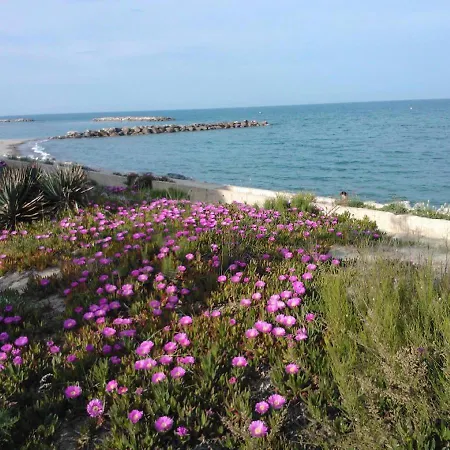 Barcaresa-charmant T 2 Vue Pied Dans L'eau Le Barcares