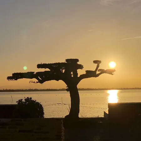 Barcaresa-charmant T 2 Vue Pied Dans L'eau Le Barcarès